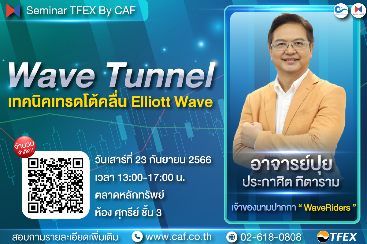 wave tunnel เทคนิคเทรดโต้คลื่น elliott wave 